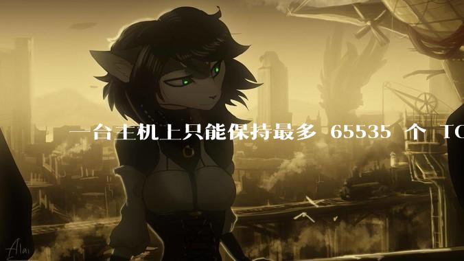一台主机上只能保持最多 65535 个 TCP 连接吗？