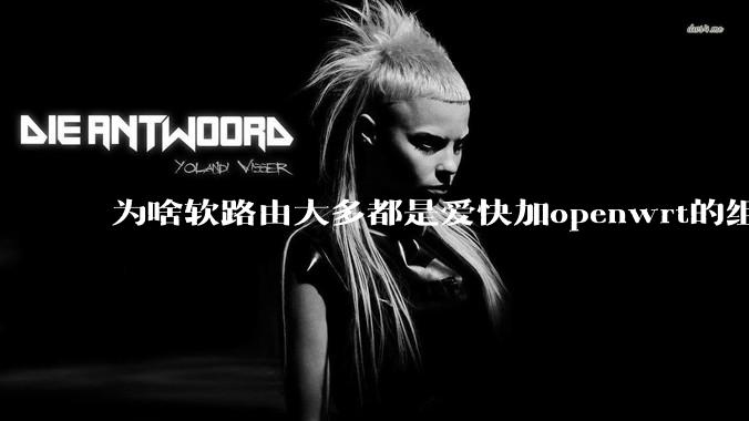 为啥软路由大多都是爱快加openwrt的组合，单openwrt有什么缺点嘛？